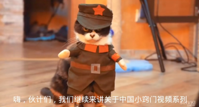 出海丨社交化品牌，需要一個指揮中心